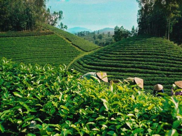 Northern Vietnam cultural vacation