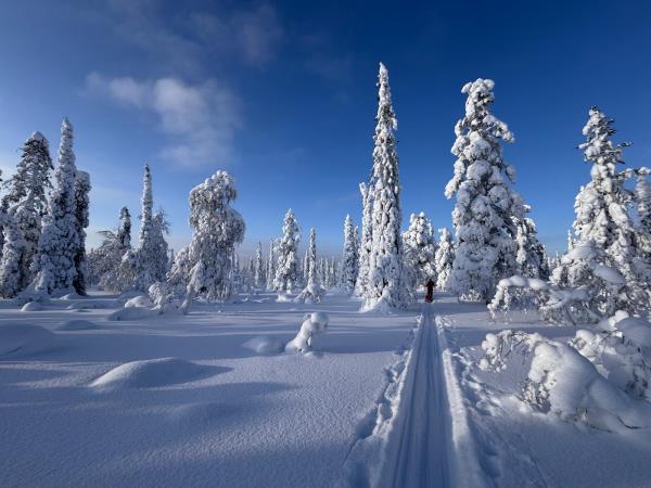 Hossa National Park Backcountry Skiing Tour