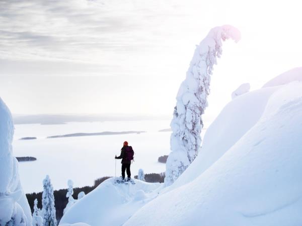 Finland winter activity vacation