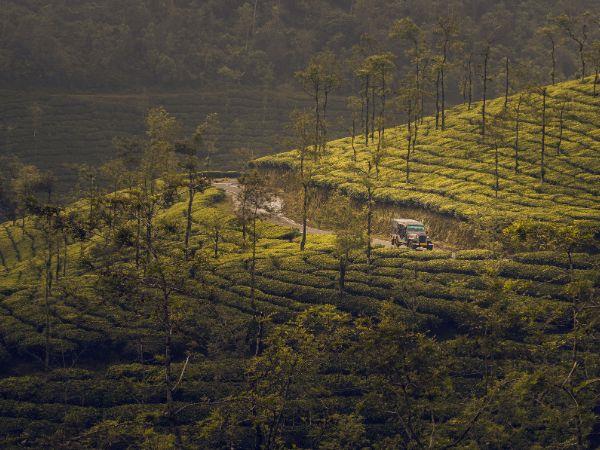Kerala vacation, tailor made