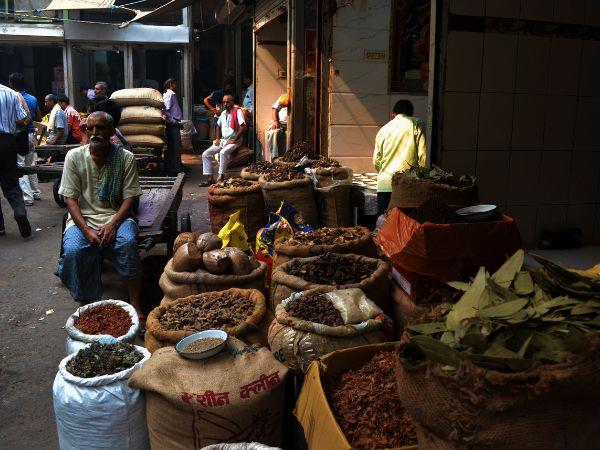 Kerala vacation, tailor made