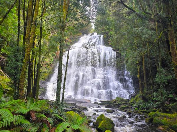 Tasmania highlights tour, 10 days