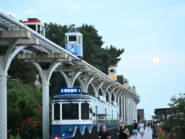 South Korea family tour, 14 days