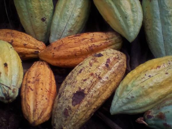 Nicaragua culture and nature vacation
