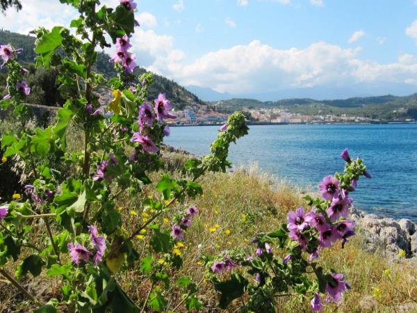 Springtime in the Peloponnese hiking vacation