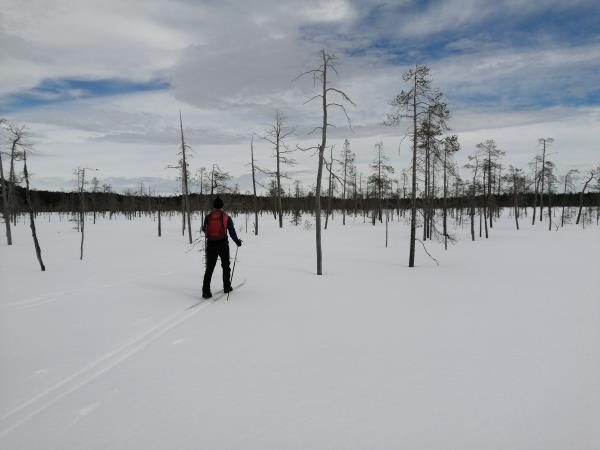 Hossa National Park Backcountry Skiing Tour