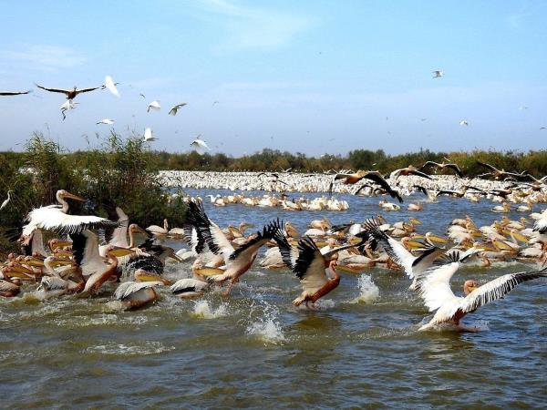 Senegal cultural vacation