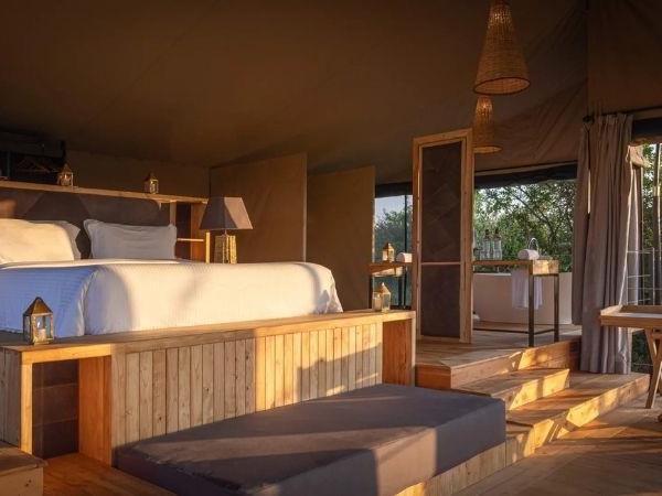 Kenya safari and beach tour