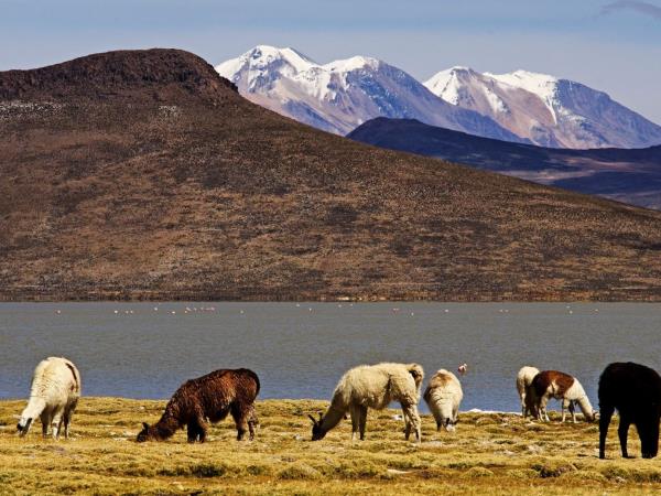 Andean culture & history vacation in Peru