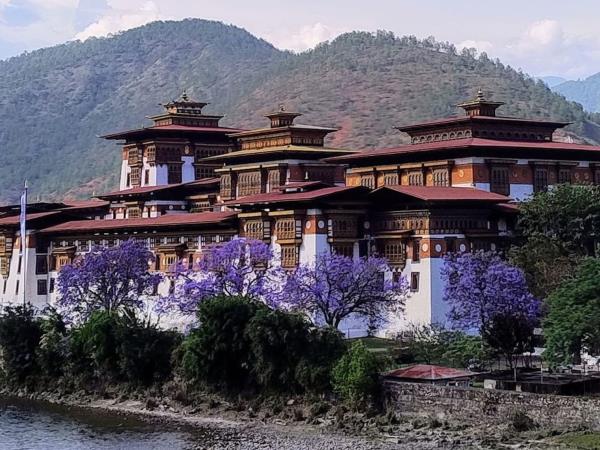 Bhutan hiking and yoga vacation