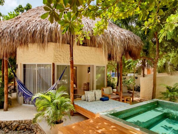 Colombia premium yoga and wellness vacation