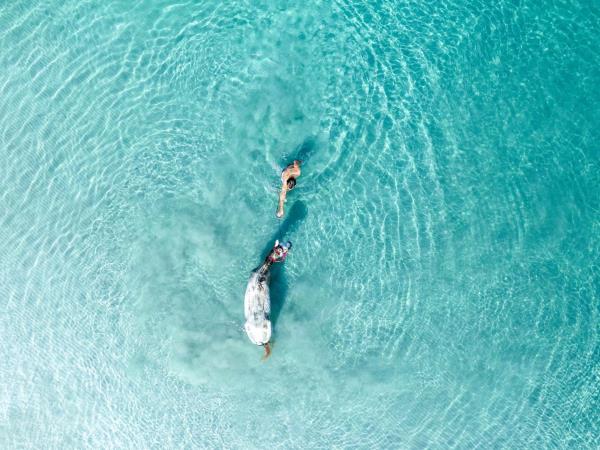 Colombia premium yoga and wellness vacation