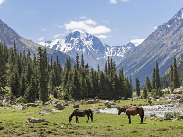 Kyrgyzstan yoga and wellness adventure
