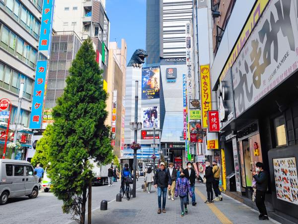 Japan cherry blossom vacation