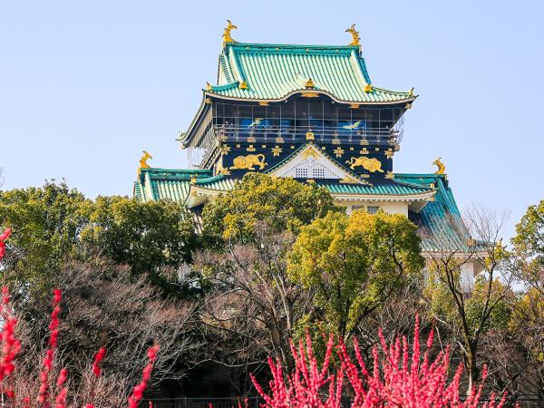 Japan cherry blossom vacation