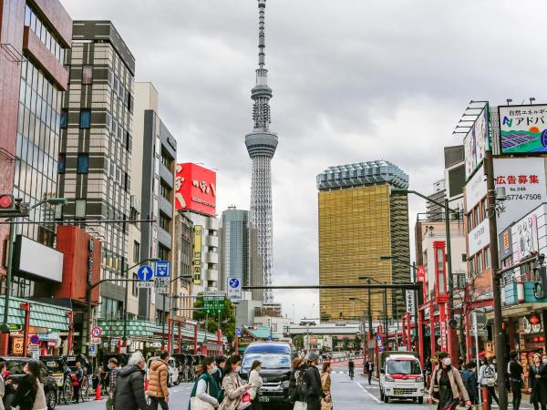 Japan winter vacation, tailor made
