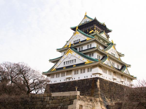 Japan winter vacation, tailor made