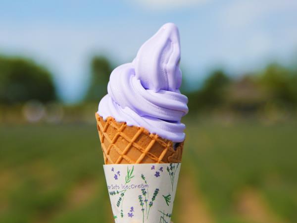 Hokkaido summer vacation in Japan