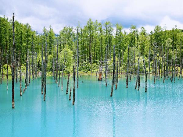 Hokkaido summer vacation in Japan