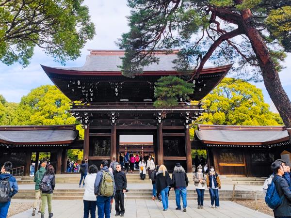 Japan tailormade vacation for foodies