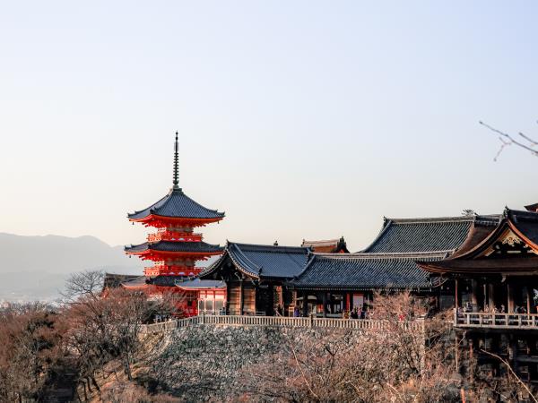 Family vacation to Japan, tailor made