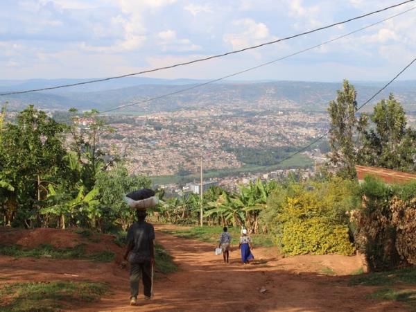 Rwanda Gorillas and Primates tour