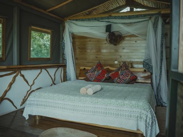Uganda ultimate wildlife tour, tailor made