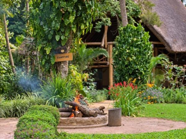 Uganda ultimate wildlife tour, tailor made