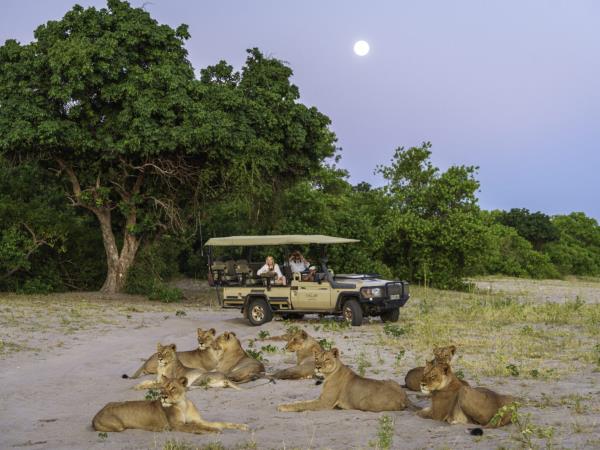 Namibia self drive and Botswana vacation
