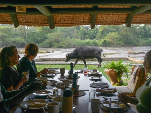 Women only gorilla trekking safari in Uganda