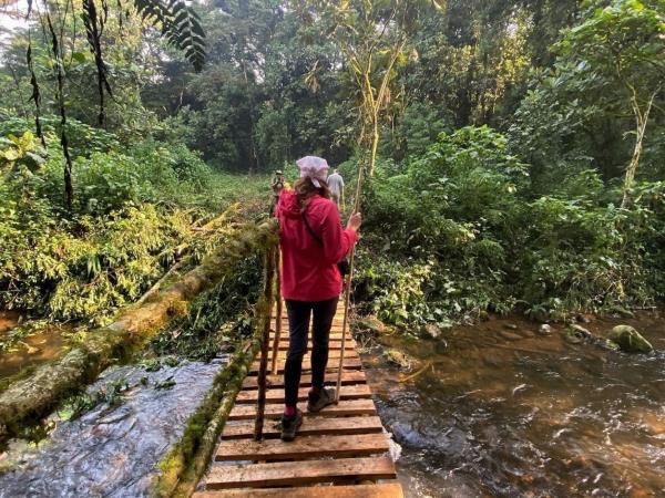 Women only gorilla trekking safari in Uganda