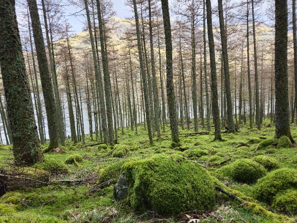 Lake district moderate to challenging hiking vacation