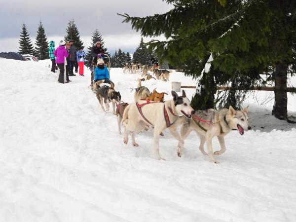 Winter family vacation in Slovakia, High Tatras