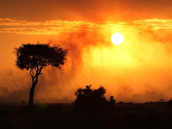 Kenya safari and Zanzibar beach vacation