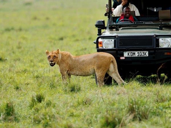 Kenya safari and Zanzibar beach vacation