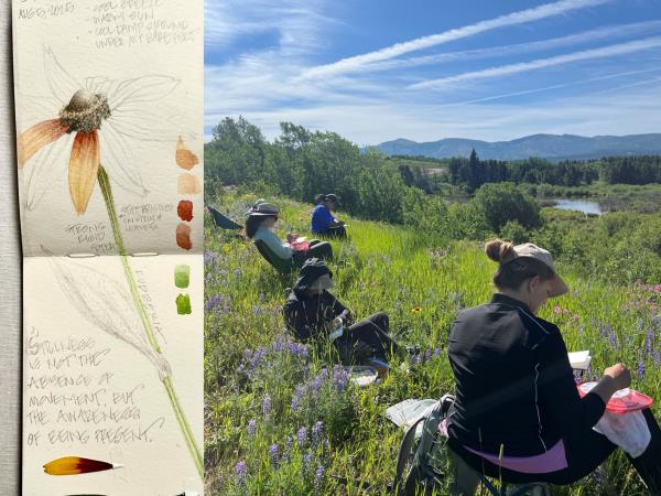 Illustrated nature journal retreat in Greece