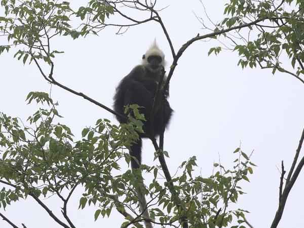 China wildlife vacation