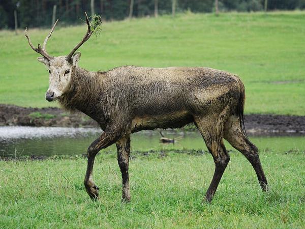 China wildlife vacation