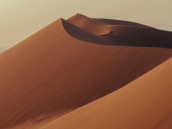 Algeria eclipse over the Sahara vacation