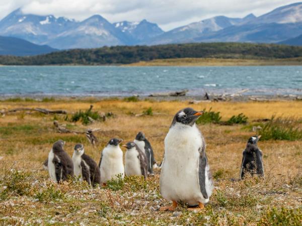 Patagonia small group tour, trekking and culture