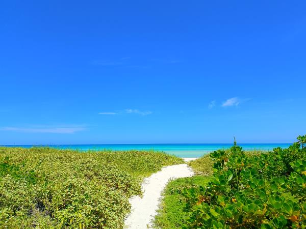 Yucatan wildlife and nature vacation, Mexico