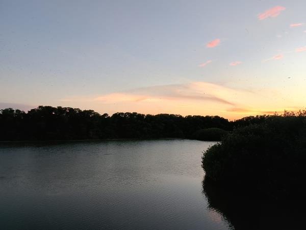 Yucatan wildlife and nature vacation, Mexico