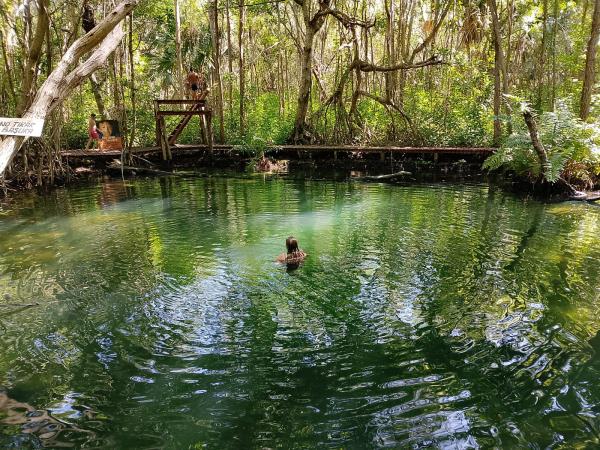 Yucatan wildlife and nature vacation, Mexico