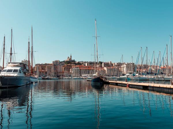 Provence small group tour, vineyards & lavender fields, France 