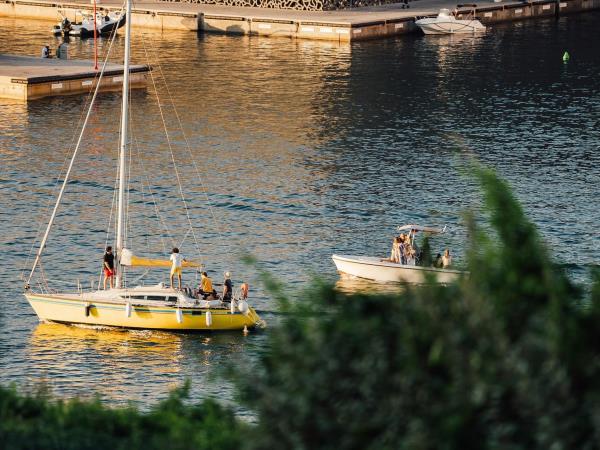 Provence small group tour, vineyards & lavender fields, France 