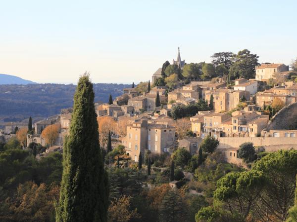 Provence small group tour, vineyards & lavender fields, France 
