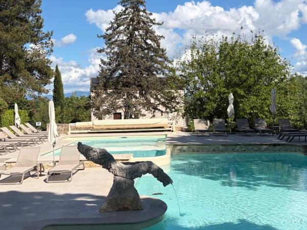Provence small group tour, vineyards & lavender fields, France 