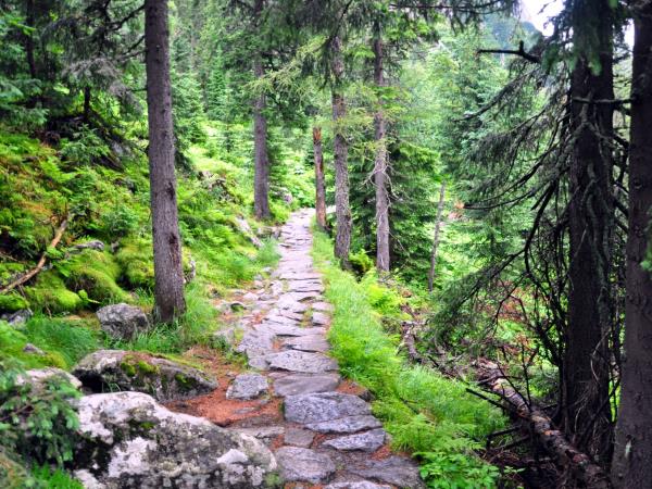 High Tatras walking vacation in Slovakia
