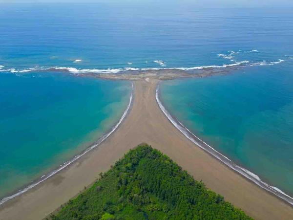 Costa Rica Osa Peninsula wildlife & whale watching tour