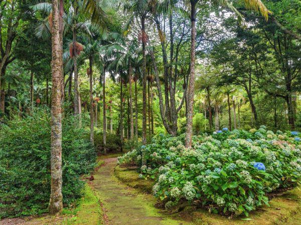 Azores tour, island explorer